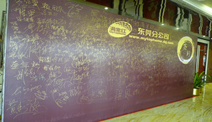 ú춫ݸ2013
