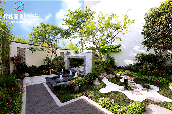 orange tree